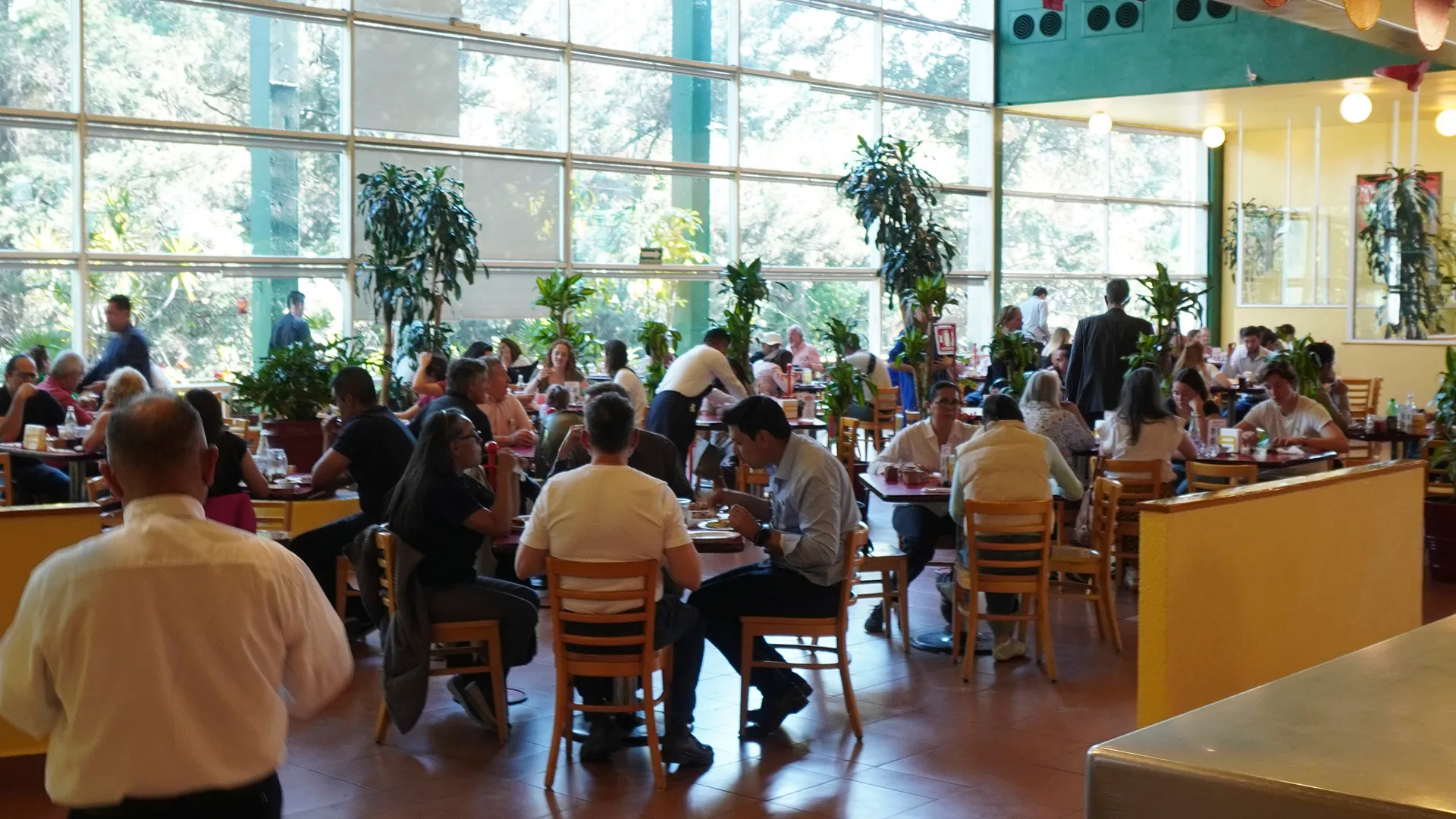 Festejo en el charco 1 el charco de las ranas